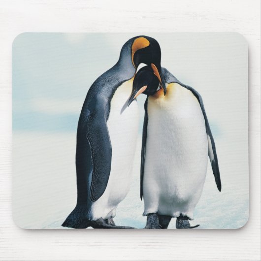 Zwei liebevolle Pinguine Mousepad (Vorne)