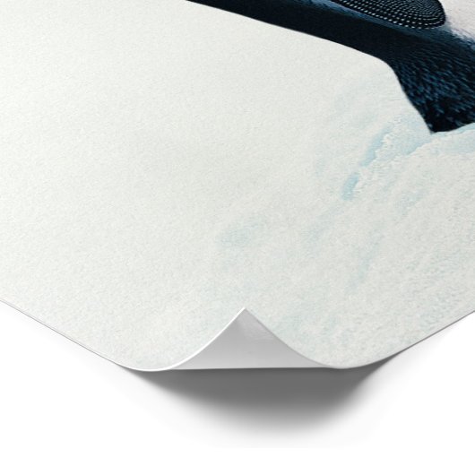 Zwei liebevolle Pinguine Poster (Ecke)