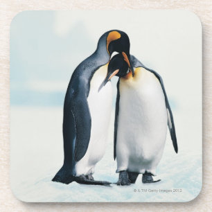 Zwei liebevolle Pinguine Untersetzer