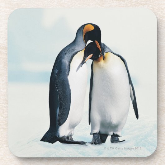 Zwei liebevolle Pinguine Untersetzer (Vorderseite)