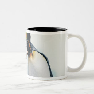 Zwei liebevolle Pinguine Zweifarbige Tasse