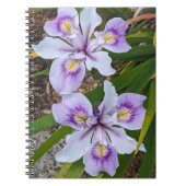 Zwei Lila Beunirs Floral Notizblock (Vorderseite)