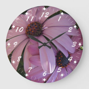 Zwei lila Gänseblümchen Große Wanduhr