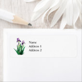 Zwei Lila Ire (Insitu)