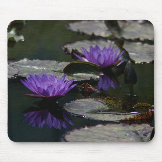 Zwei Lila Lotus-Wasserlilien-Mauspad Mousepad (Vorne)