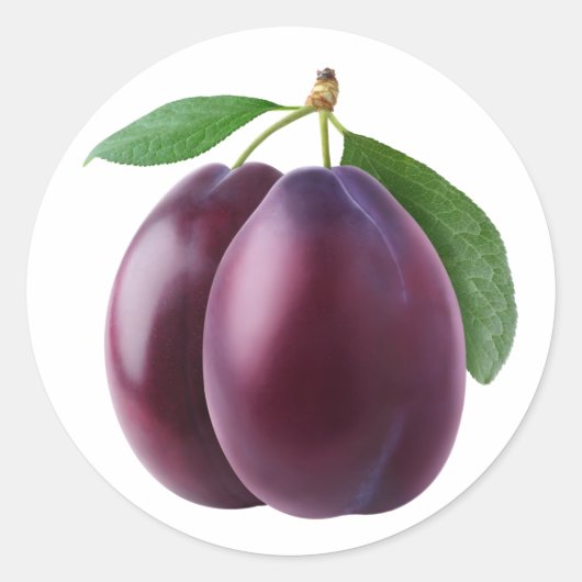 Zwei lila Pflaumen Runder Aufkleber (Vorderseite)