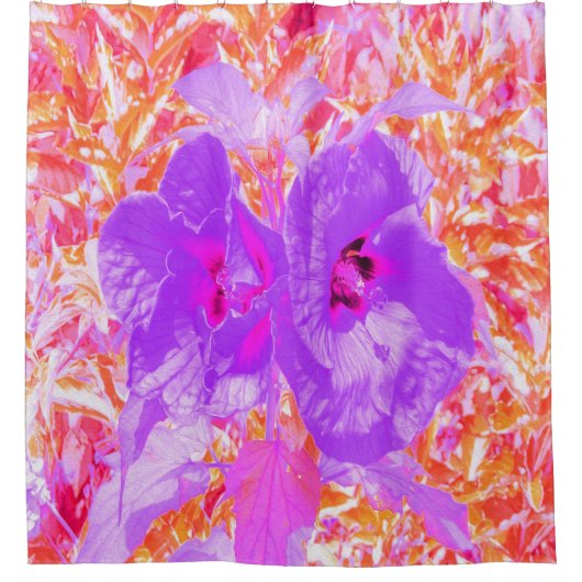 Zwei Lila und heiße rosa Pollen Crazy Hibiskus Duschvorhang (Vorderseite)