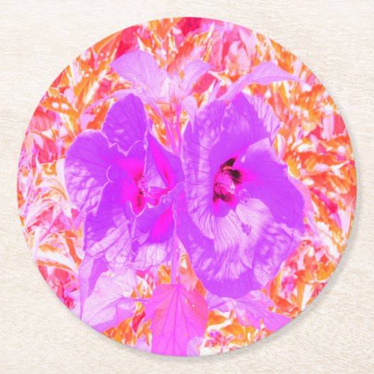 Zwei Lila und heiße rosa Pollen Crazy Hibiskus Runder Pappuntersetzer (Vorderseite)