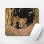Zwei Lion Cubs Mousepad (Mit Mouse)