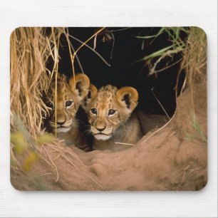 Zwei Lion Cubs Mousepad