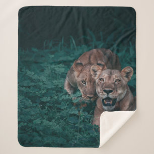 ZWEI LIONEN AUF GRÜNEN PFLANZE SHERPADECKE