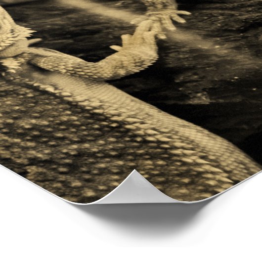 Zwei Lizards Poster (Ecke)