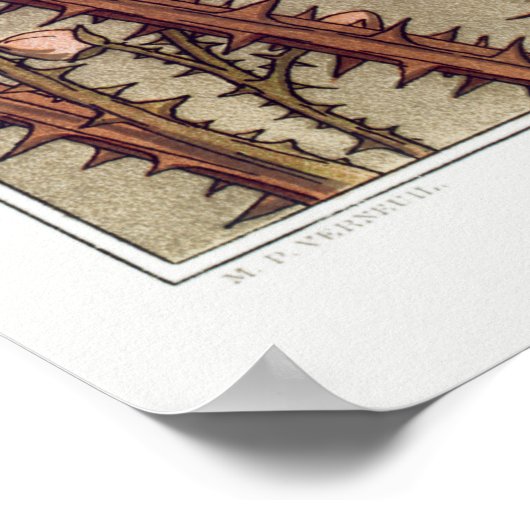 Zwei Lizards Vintag Illustration Art Poster (Ecke)