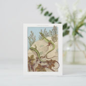 Zwei Lizards Vintage Fauna Illustration Postkarte (Stehend Vorderseite)
