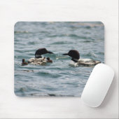Zwei Loons mit zwei Babys Mousepad (Mit Mouse)