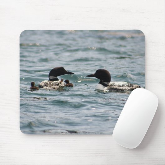 Zwei Loons mit zwei Babys Mousepad (Mit Mouse)