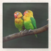 Zwei Lovebirds auf einer Zweigniederlassung Glasuntersetzer (Vorderseite)