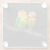 Zwei Lovebirds auf einer Zweigniederlassung Glasuntersetzer (Rückseite)