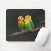 Zwei Lovebirds auf einer Zweigniederlassung Mousepad (Mit Mouse)
