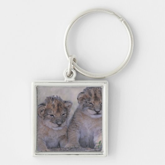 Zwei Löwe CUB Schlüsselanhänger (Vorne)