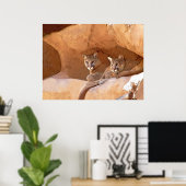 Zwei Löwen drucken Poster (Heimbüro)