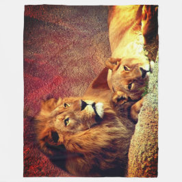 Zwei Löwen Fleecedecke