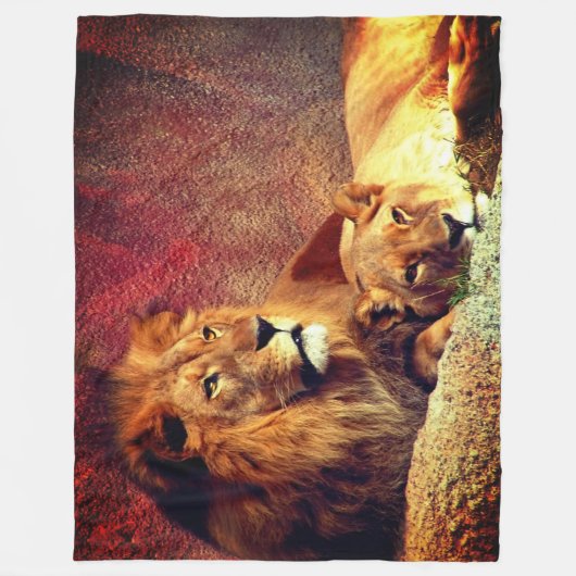 Zwei Löwen Fleecedecke (Vorderseite)