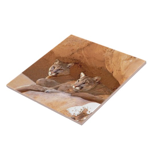 Zwei Löwen Fliese (Seite)