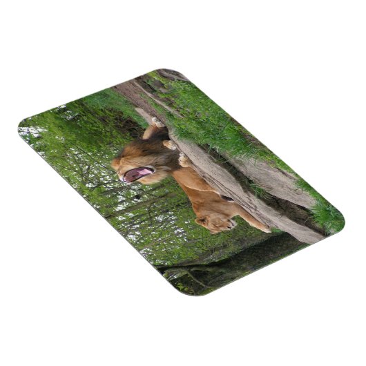 Zwei Löwen Magnet (Rechte Seite)