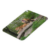 Zwei Löwen Magnet (Linke Seite)