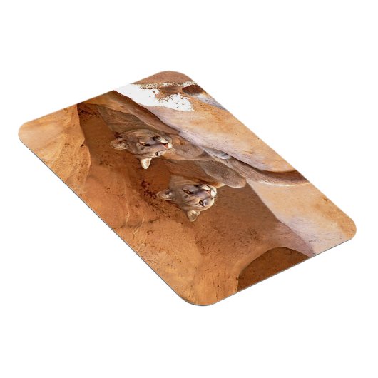 Zwei Löwen Magnet (Rechte Seite)