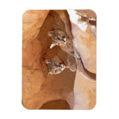 Zwei Löwen Magnet (Vertikal)