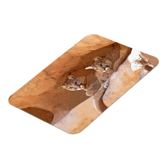 Zwei Löwen Magnet (Linke Seite)