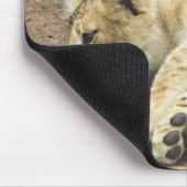 Zwei Löwen spielen. Mousepad (Ecke)