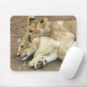 Zwei Löwen spielen. Mousepad (Mit Mouse)