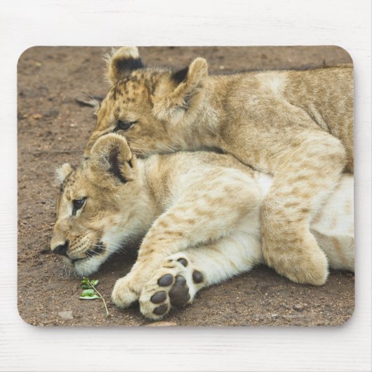 Zwei Löwen spielen. Mousepad (Vorne)