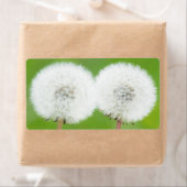 Zwei Lüster (Insitu)