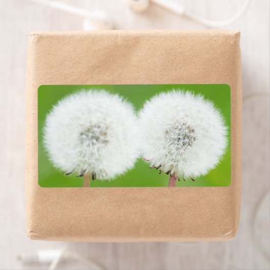 Zwei Lüster (Insitu)