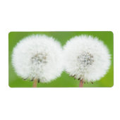 Zwei Lüster (Vorne)