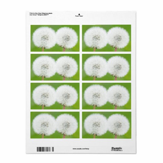 Zwei Lüster (Vorne)