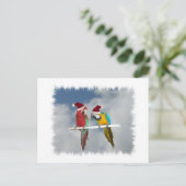 Zwei Macaw Santas Feiertagspostkarte (Stehend Vorderseite)