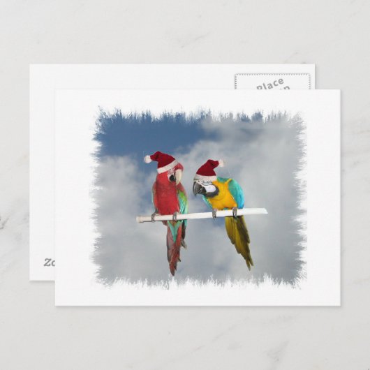 Zwei Macaw Santas Feiertagspostkarte (Vorne/Hinten)