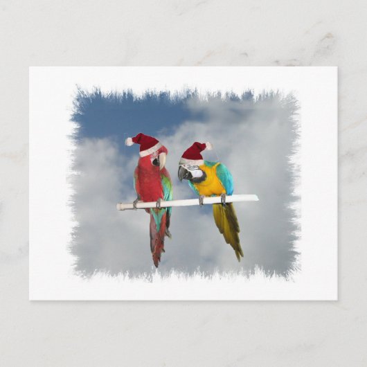 Zwei Macaw Santas Feiertagspostkarte (Vorderseite)