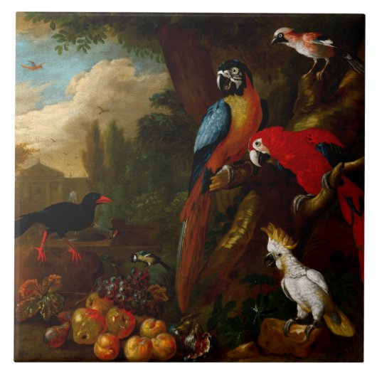 Zwei Macaws ein Cockatoo und eine Jay mit Obst Fliese (Vorderseite)