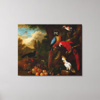 Zwei Macaws ein Cockatoo und eine Jay mit Obst