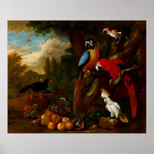 Zwei Macaws ein Cockatoo und eine Jay mit Obst Poster (Vorne)