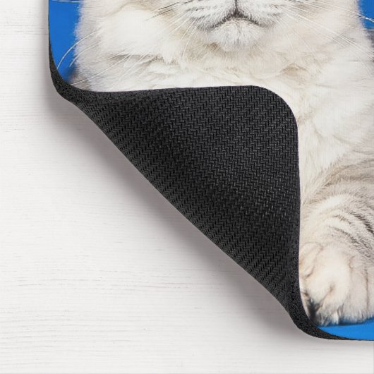 Zwei Maine Coon Cats Blue Mousepad (Ecke)