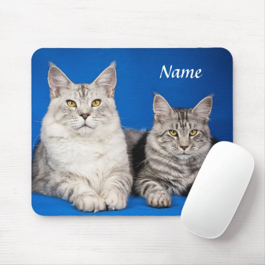 Zwei Maine Coon Cats Blue Mousepad (Mit Mouse)