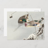Zwei Mallards in der Nähe einer schneebedeckten Lo Postkarte (Vorne/Hinten)