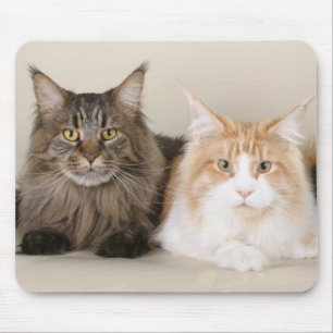 Zwei Mammutküken Mousepad